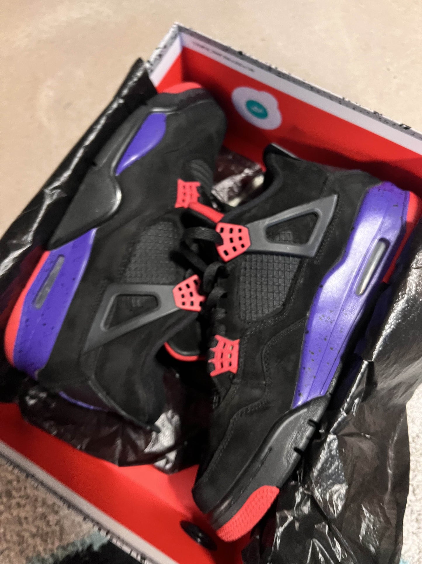 Jordan IV Raptor 43