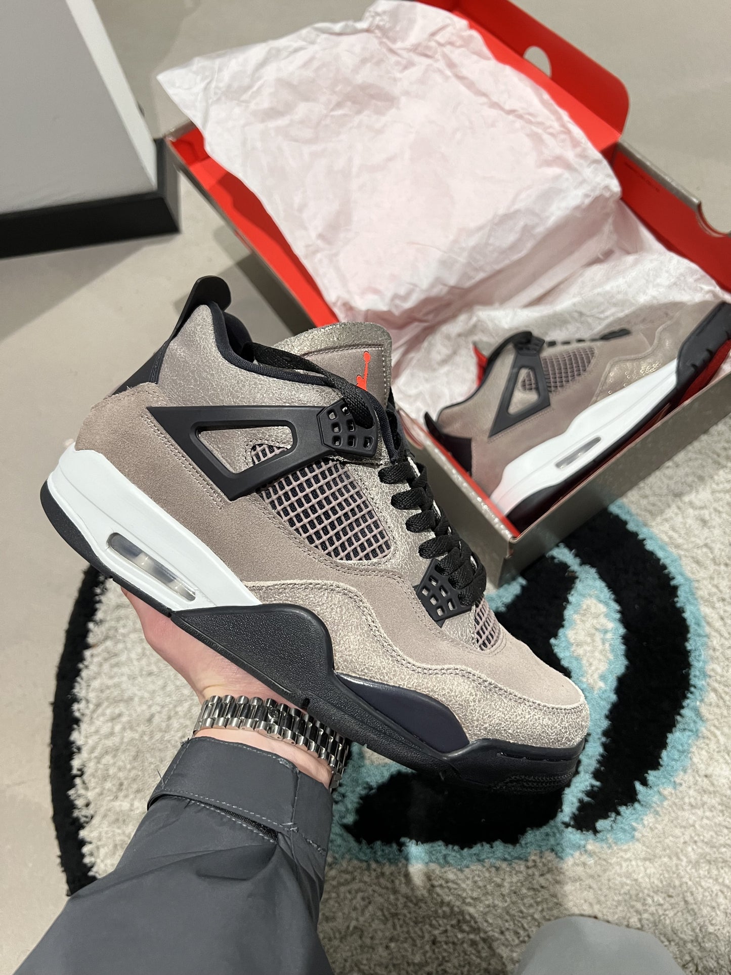 Jordan IV Taupe Haze 44