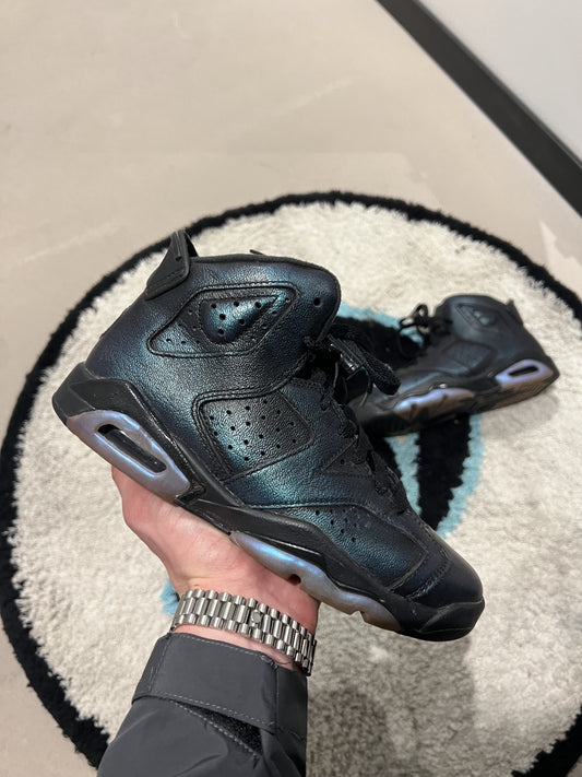 Jordan 6 Chameleon