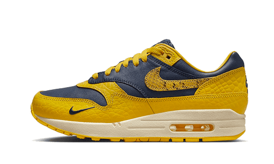 air-max-1-cojp-michigan-5199ee