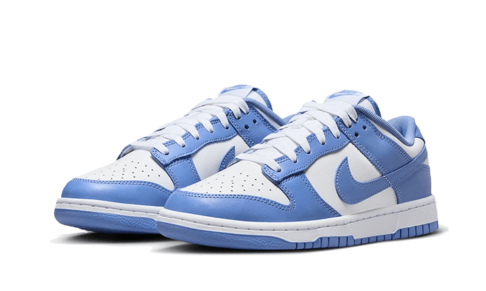 dunk-low-polar-blue-5199ee