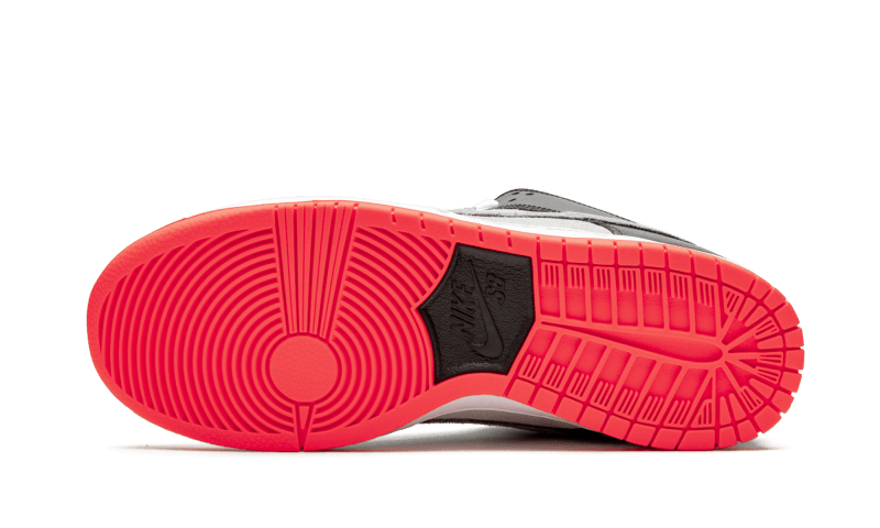 sb-dunk-low-infrared-5199ee